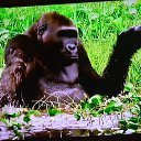  ,  -  13  2017        »