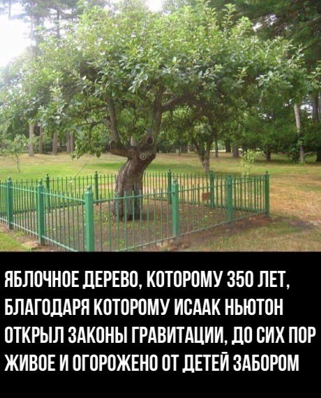 Наука и Техника - 18 апреля 2018 в 02:38