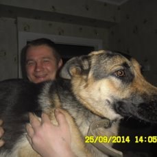 ���� �������, ���������������, 47 ��� - ��������� 22 ��� 2018