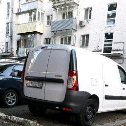 ���� ������, �����������, 36 ��� - ��������� 25 ������� 2017