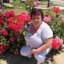 ���� �����, ������������ - ��������� 26 ������ 2017 � ������ ���� ����������