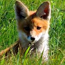 ���� ������, ��������� - ��������� 17 ��� 2018