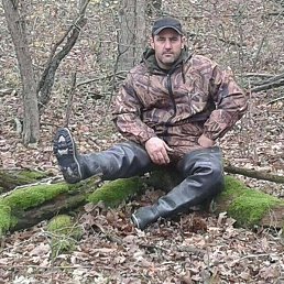 ���������, ���������, 50 ���