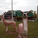 ���� �������, ��������, 41 ��� - ��������� 6 ���� 2018 � ������ ���� ����������