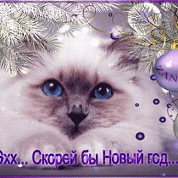 ���� �����, �������, 66 ��� - ��������� 25 ������� 2017