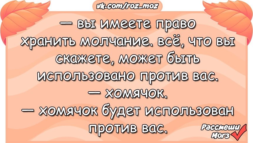  - 20  2017  03:29
