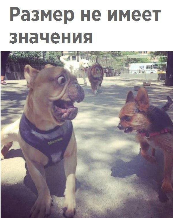 ����� �������� - 14 ������ 2018 � 03:42