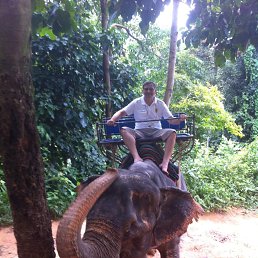 ��������, ��������