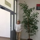 ���� ������, �������� - ��������� 2 ���� 2018 � ������ ���� ����������