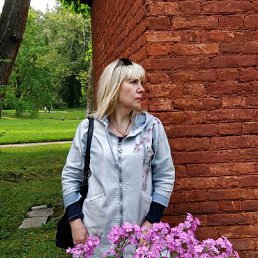 ���� ������, �����-��������� - ��������� 5 ������� 2017