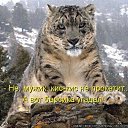 ���� * * * ���������, ������� - ��������� 30 ������� 2017 � ������ ���� ����������