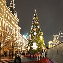 ���� ������, �����-��������� - ��������� 12 ������� 2017 � ������ ���� ����������
