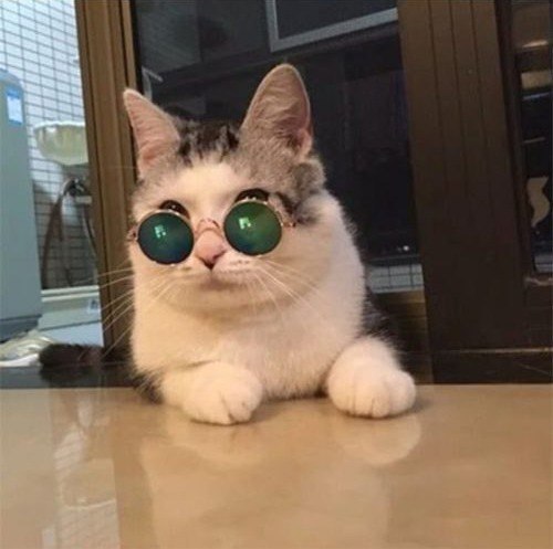 ������ �������� ��� ������ �� ���������: ���� ��� ���� - 6