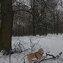 ���� �������� ���������, ������, 65 ��� - ��������� 24 ������ 2018