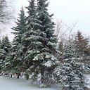���� �����, ������������ - ��������� 20 ������� 2017 � ������ ���� ����������