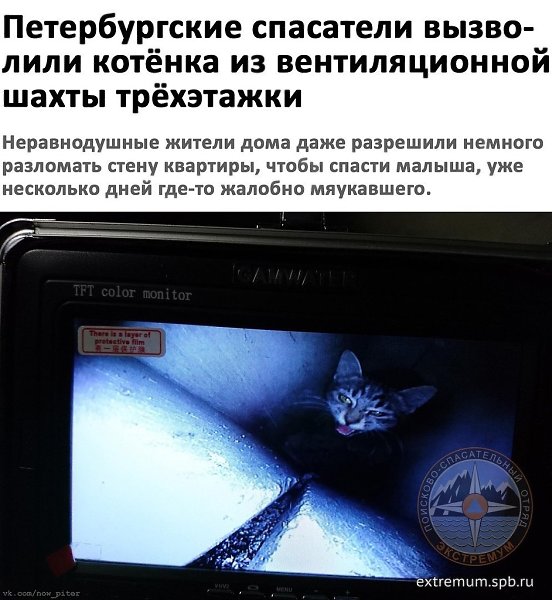       - 4  2018  03:44
