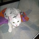 ���� Elena, �����-���������, 62 ���� - ��������� 26 ��� 2018 � ������ ������ ��������