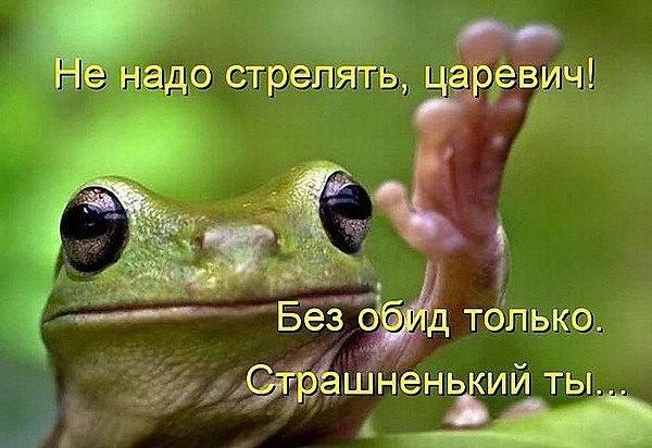 Katerinka - 14  2018  18:52