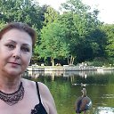 ���� ����, ��������, 67 ��� - ��������� 20 ������ 2017 � ������ ����� � ���� 2017 ����