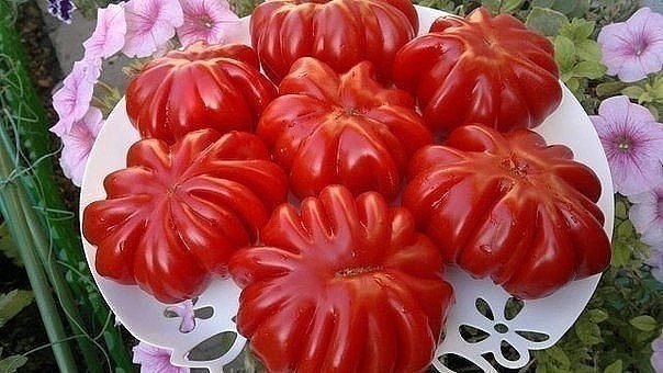 ��������� �����������.