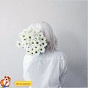 ���� �����, ���������, 58 ��� - ��������� 21 ����� 2018 � ������ ���� ����������