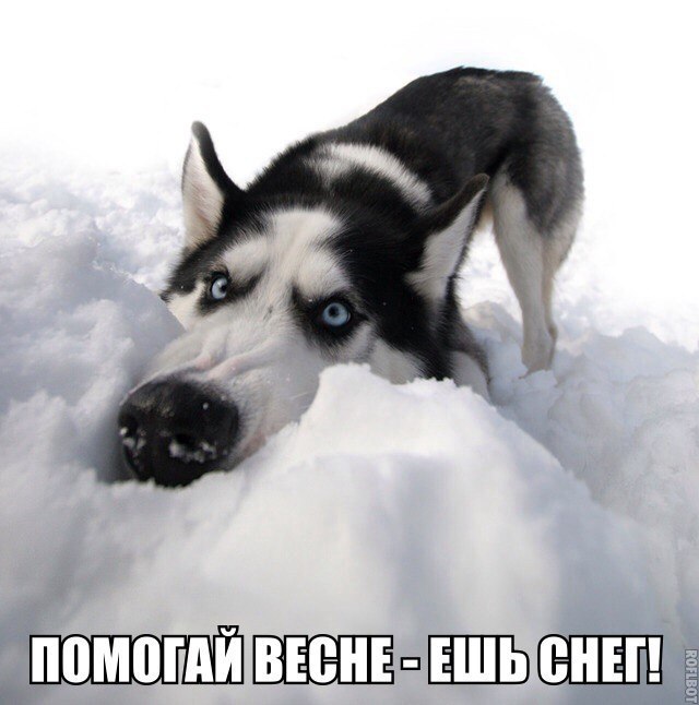 ♥♥ - 20  2018  04:19