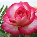 ���� 165656, �������, 37 ��� - ��������� 1 ���� 2018 � ������ ���