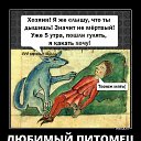 ���� ����, �����������-��-�����, 51 ��� - ��������� 9 ������� 2017 � ������ ������ ��������