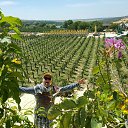 ���� Siroga, �����-���������, 53 ���� - ��������� 8 ������� 2017 � ������ ������ ��������