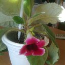 ���� ����, ��������� - ��������� 31 ��� 2018 � ������ ���� �����������