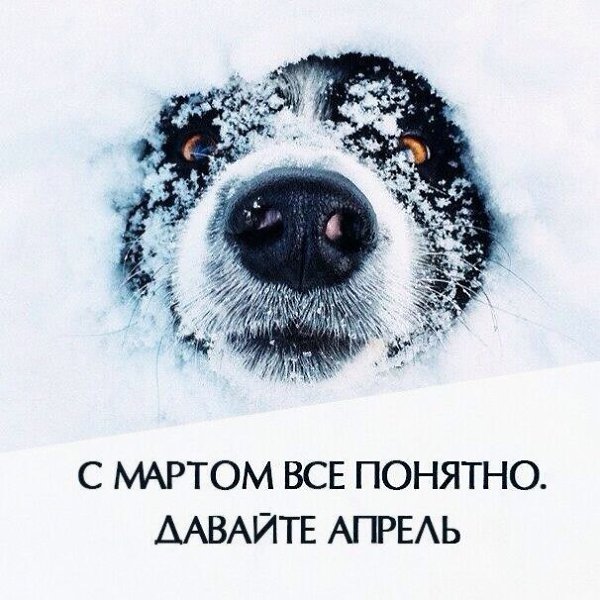 Всех с добрым утром! Уютных и комфортных выходных! Ей хочется быть, не сдается зима. Студеным ...