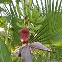 ���� ���� ����������, ����������� - ��������� 17 ����� 2018 � ������ ���� ����������