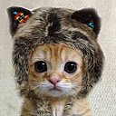 ���� Arthur, �������, 46 ��� - ��������� 19 ������ 2017 � ������ ���� ����������