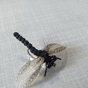 ���� �������, ������������, 52 ���� - ��������� 16 ����� 2018