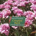  . 23.04.2018.   .          23.04.2018