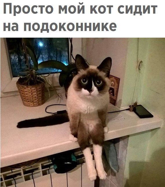    ר! - 7  2017  03:27