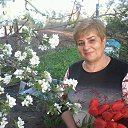 ���� �������, ����, 71 ��� - ��������� 8 ��� 2018 � ������ ���� ����������