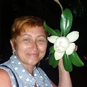 ���� ������, ������ �������� - ��������� 22 ���� 2018 � ������ ���� ����������