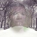 ���� �����, �����, 31 ��� - ��������� 11 ������� 2018 � ������ ���� ����������