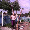 ���� �������, �����������, 67 ��� - ��������� 7 ���� 2018 � ������ ���� ����������