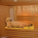 ���� ����� � 72, ��������, 53 ���� - ��������� 10 ������� 2017 � ������ ���� ����������