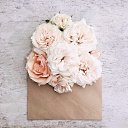���� Rose, ����������� - ��������� 22 ���� 2018 � ������ ���� ����������