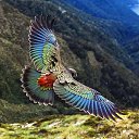 ���� Sabr Hawlere, ������ - ��������� 20 ������ 2017 � ������ ���� ����������
