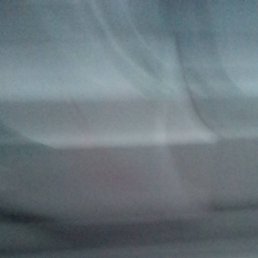 �����, �����������, 43 ����