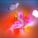  ******,  -  23  2018    