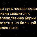 ���� ������, �����-���������, 39 ��� - ��������� 28 ������� 2018 � ������ ������ ��������