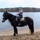 ���� �����, �����-���������, 62 ���� - ��������� 30 ������� 2017 � ������ ������ � �������� ������ 2017 7.�