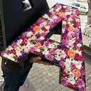 ���� ����, �����������, 26 ��� - ��������� 21 ������ 2018