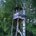 ���� �������, ������ - ��������� 28 ������� 2018 � ������ ���� ����