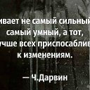 ���� ������, ��������, 36 ��� - ��������� 6 ������ 2018 � ������ ������ ��������